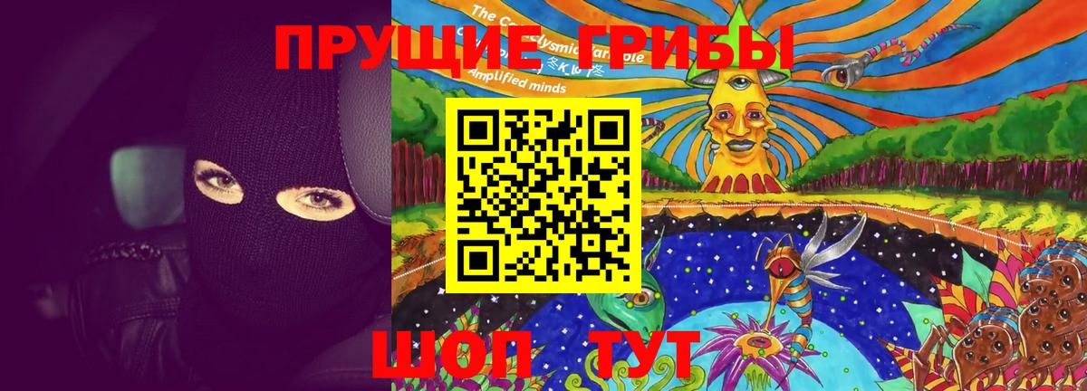 Осинники  Псилоцибиновые грибы Psilocybine cubensis  Вход с VPN  Галлюциногенные грибы ЛСД 