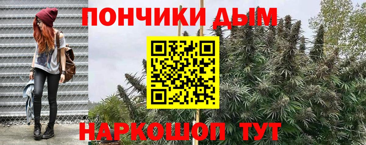 Осинники  Бошки марихуана конопля  Вход с VPN  Бошки Шишки индика 